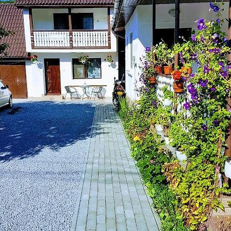 Casa Sallai Daire Sovata Dış mekan fotoğraf