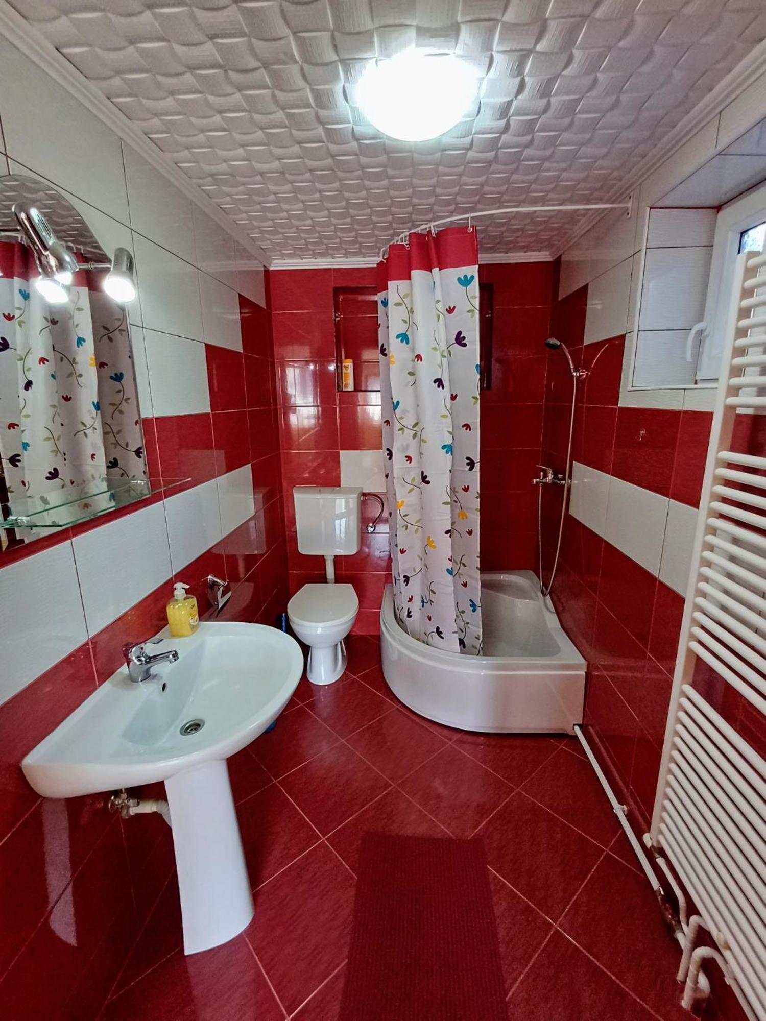 Casa Sallai Daire Sovata Dış mekan fotoğraf